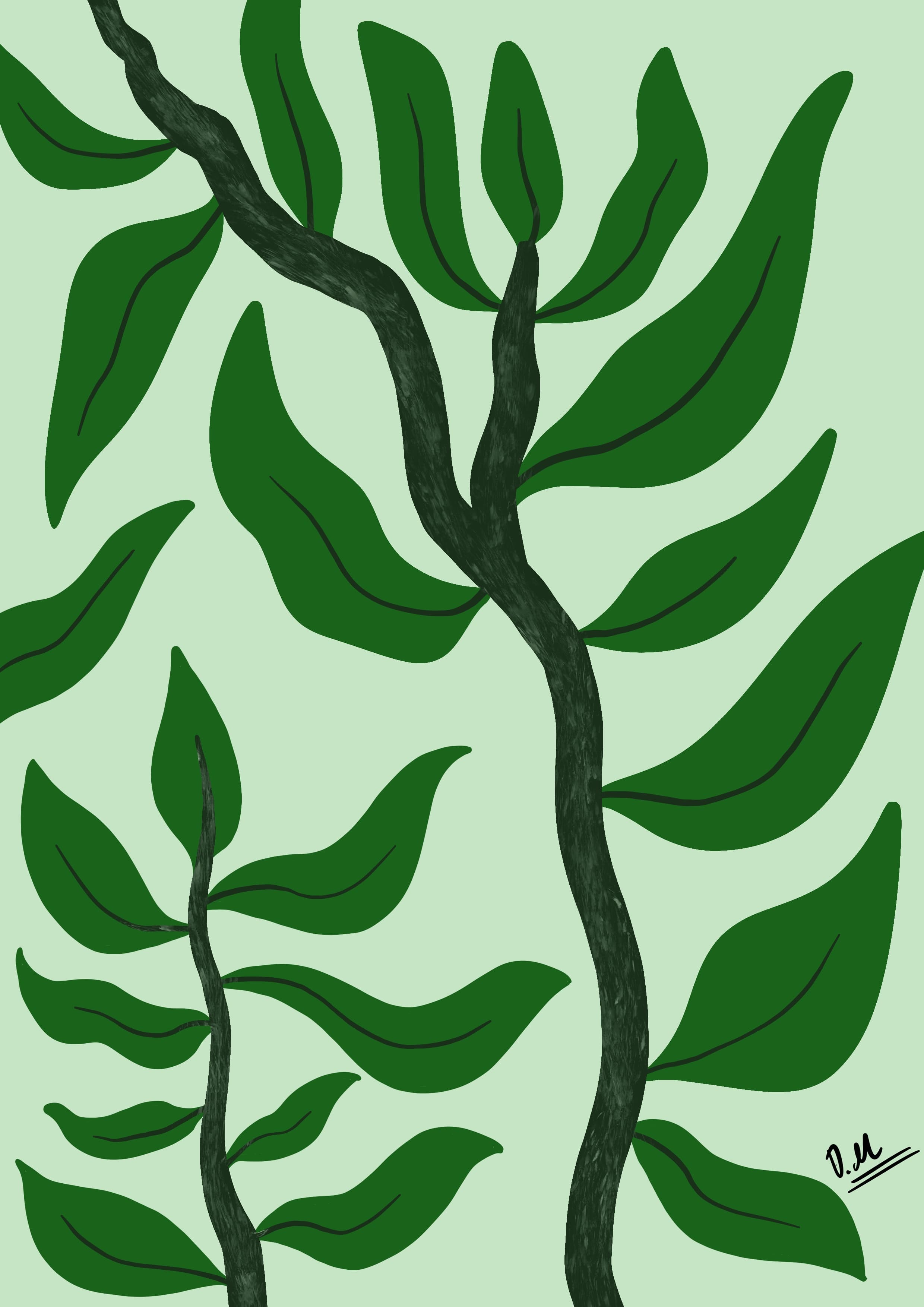 Plant study illustration