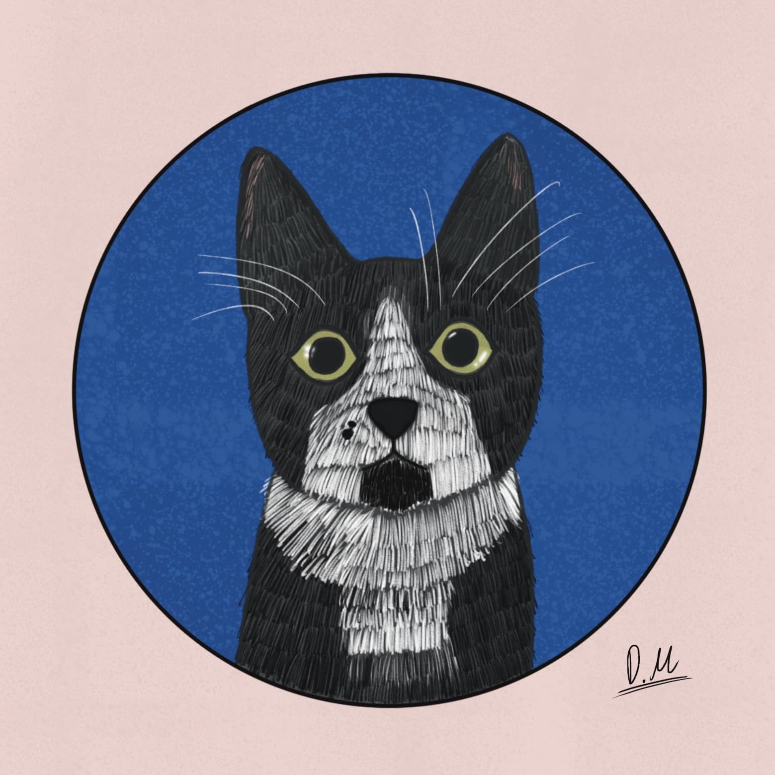 Tuxedo cat illustration